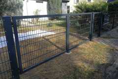 pawmet029